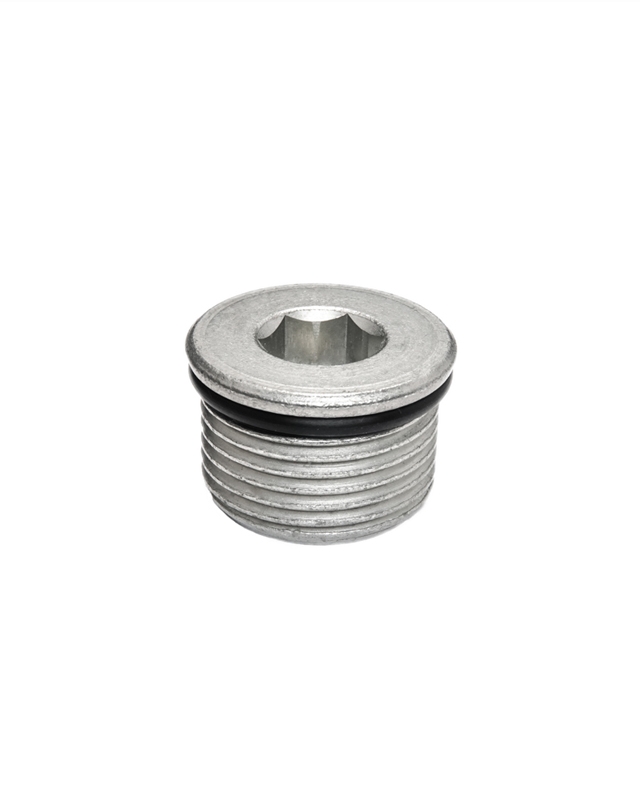 Plugs-3
